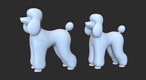 standard-poodle-dog 3D model