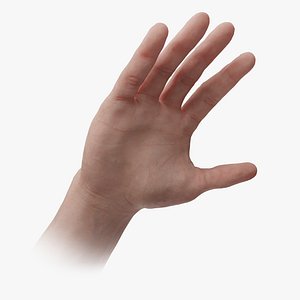 Hand Rigged