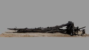 Dead Tree 014