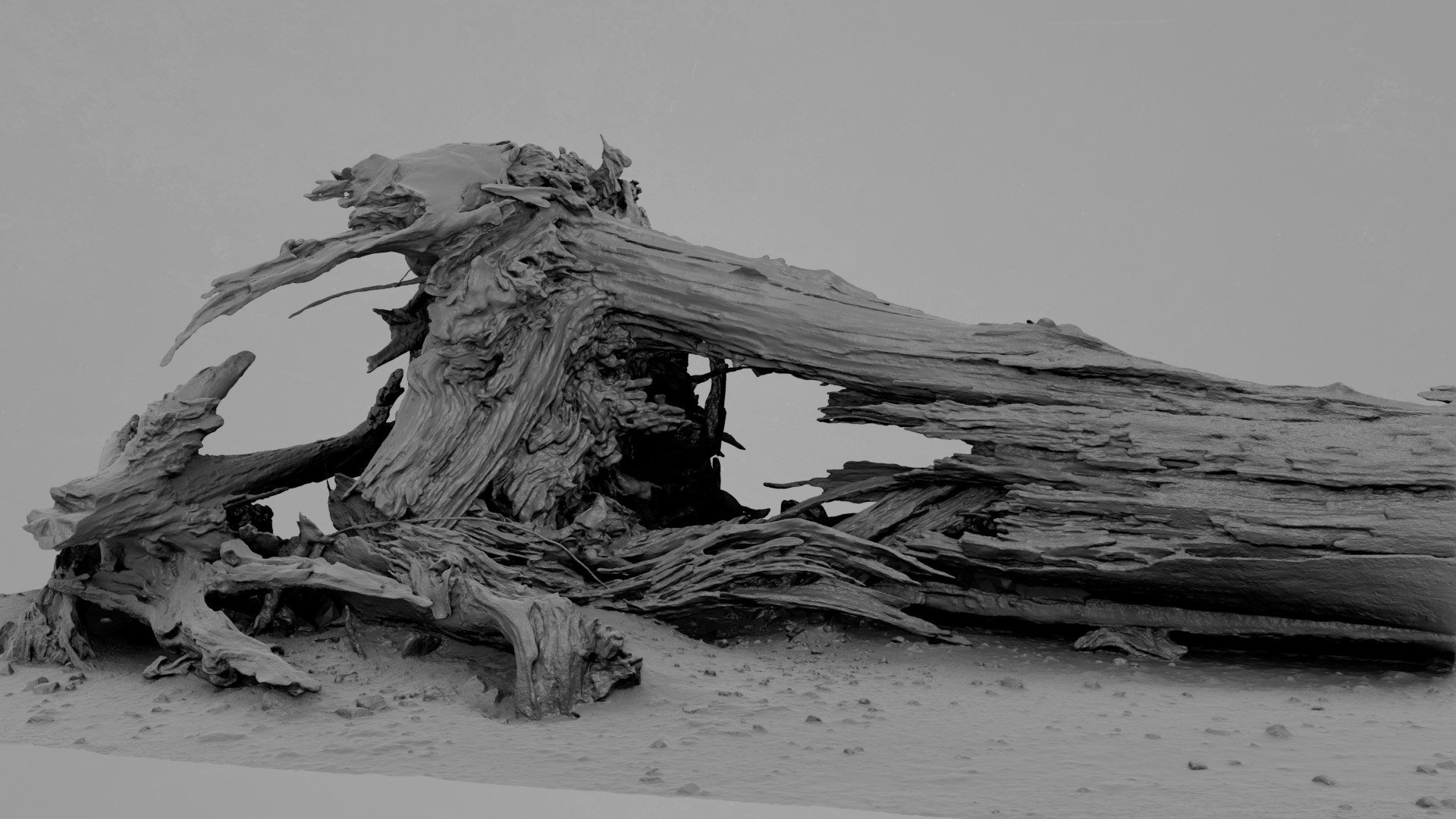 3D Model Dead Tree 014 - TurboSquid 2370887