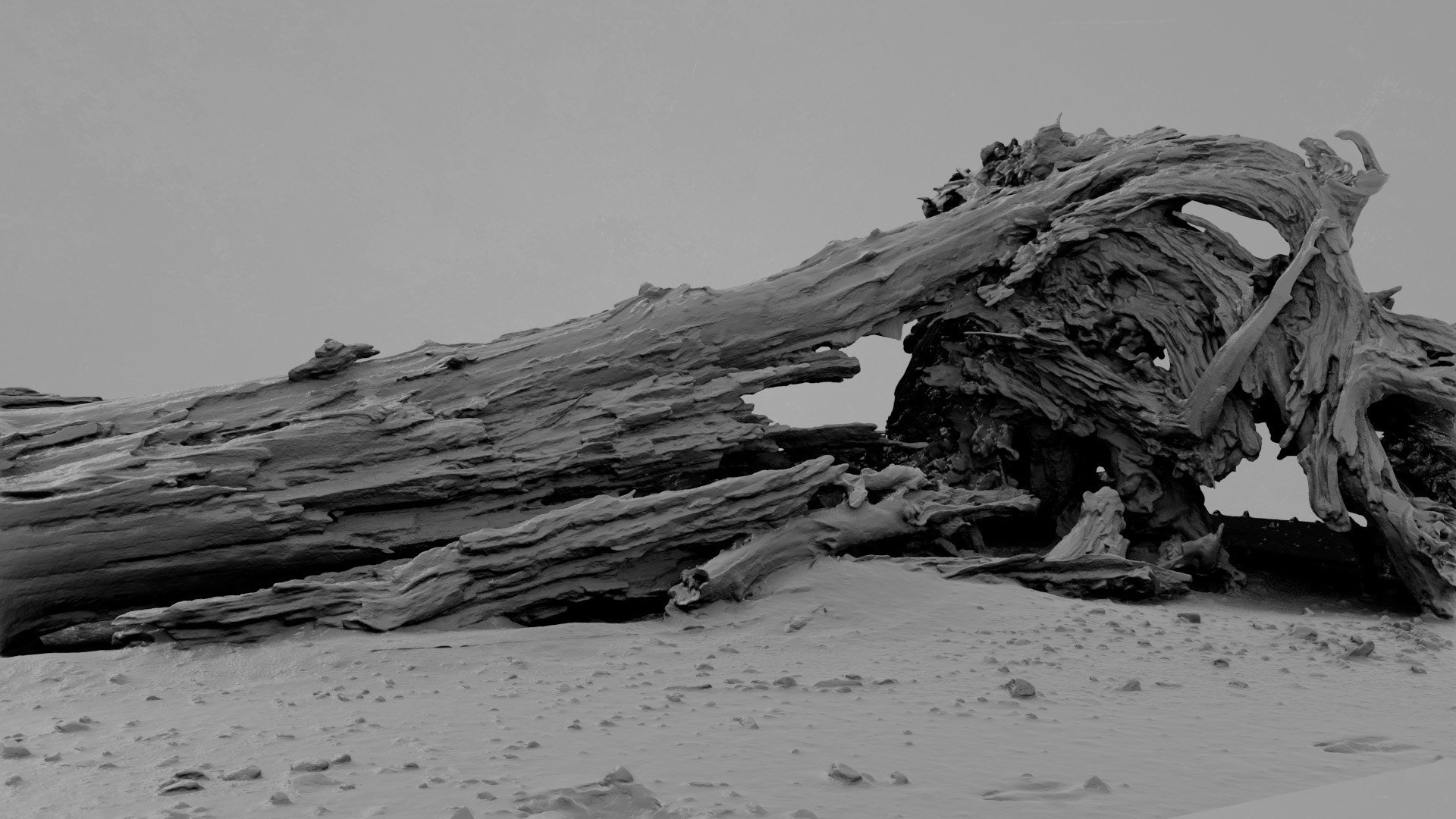 3D Model Dead Tree 014 - TurboSquid 2370887