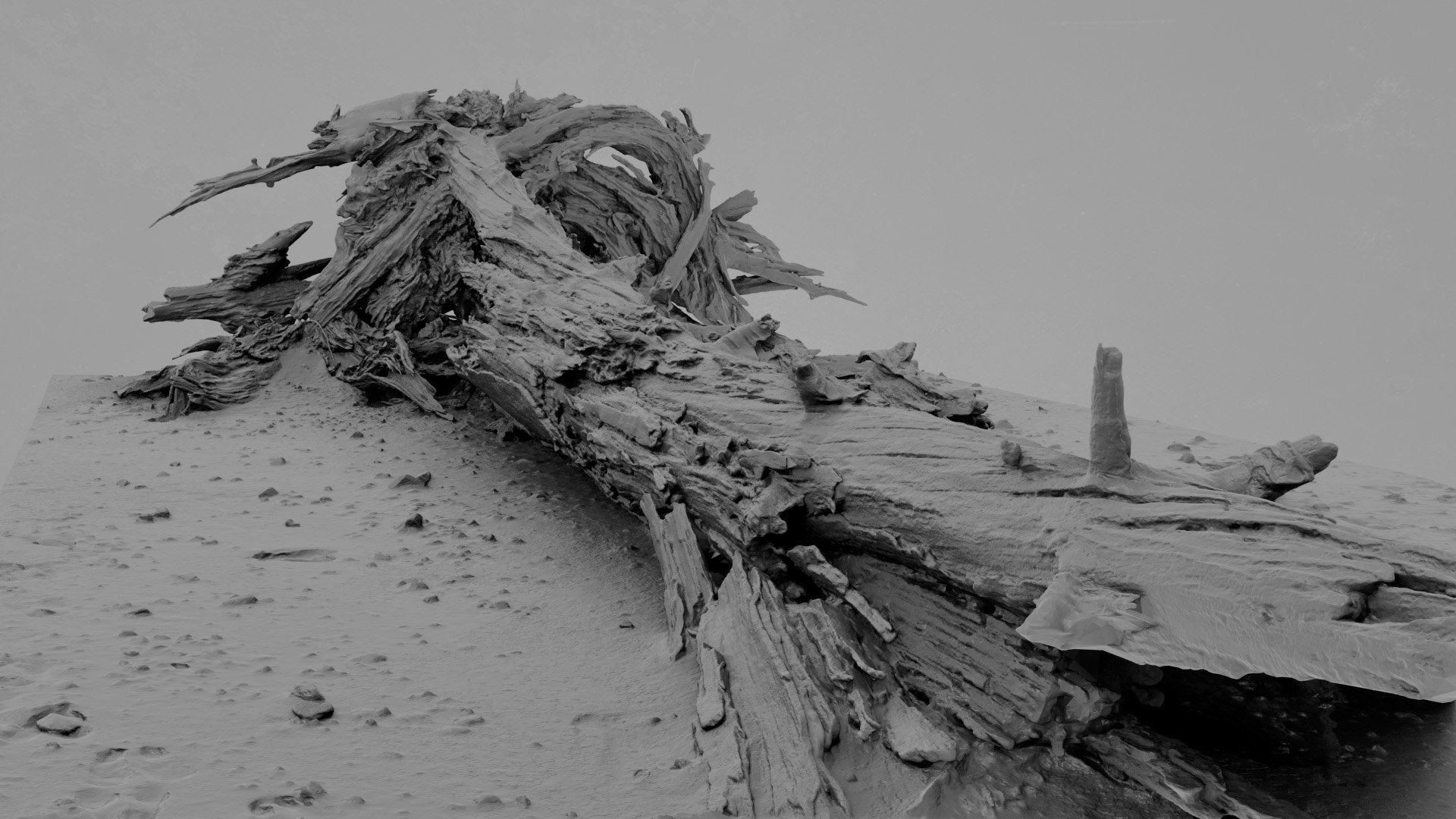 3D Model Dead Tree 014 - TurboSquid 2370887