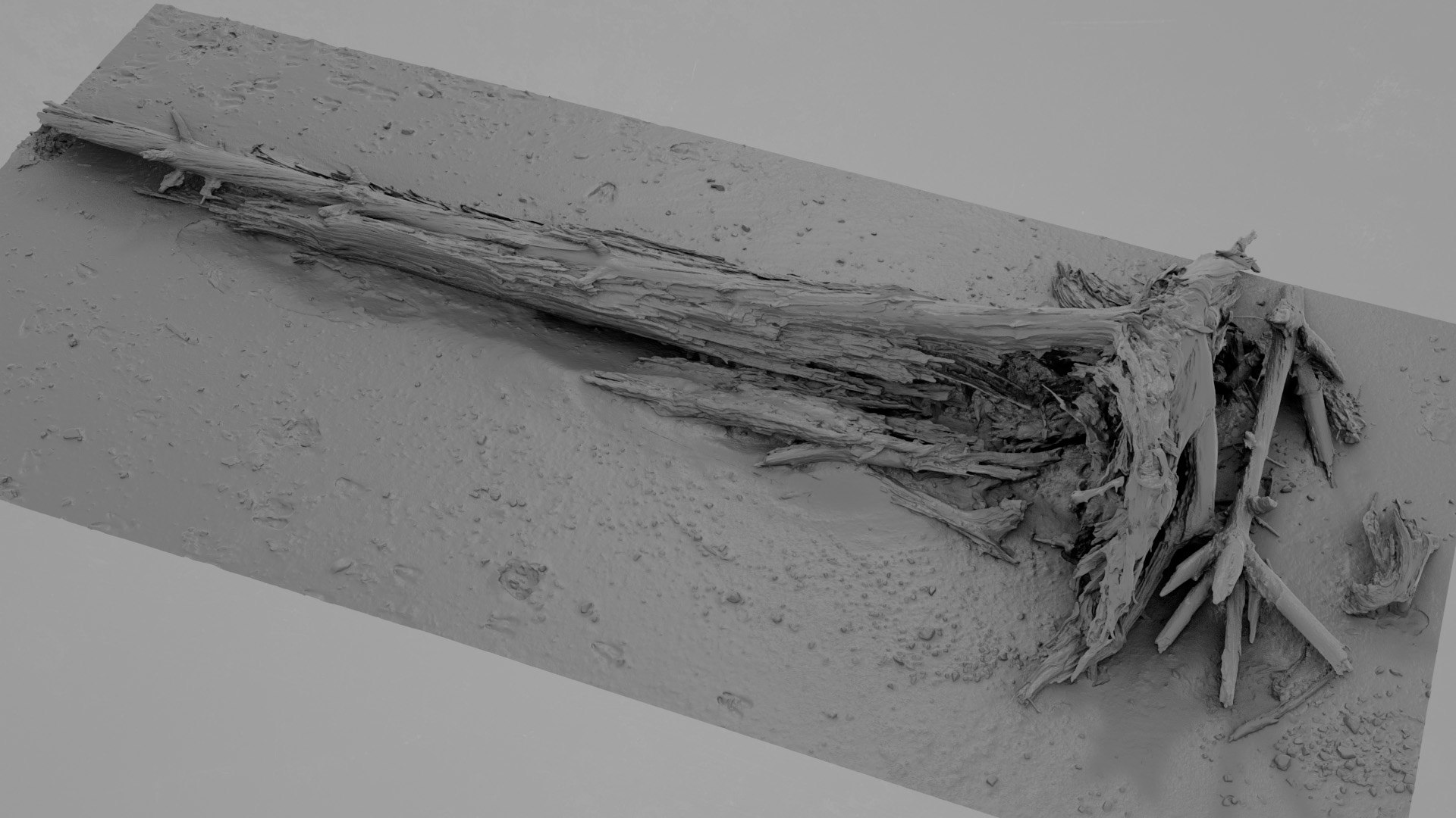 3D Model Dead Tree 014 - TurboSquid 2370887