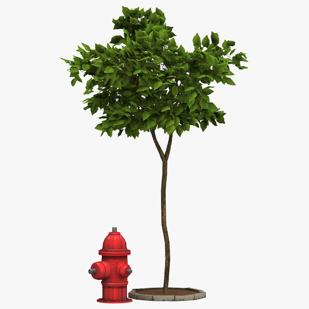 Hydrantand And Tree 3D Model - TurboSquid 1871001
