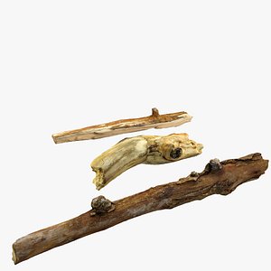 realistic sticks 3d model