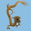 Chinese Dragon Collection