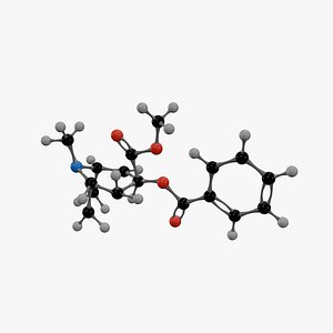 Cocaine Molecule