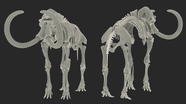 성인 매머드 올드 스켈레톤 쉘 3D 모델 - TurboSquid 1801269