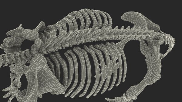 성인 매머드 올드 스켈레톤 쉘 3D 모델 - TurboSquid 1801269