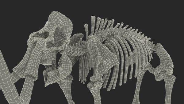 성인 매머드 올드 스켈레톤 쉘 3D 모델 - TurboSquid 1801269