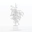 Ficus benjamina im modernen Blumentopf