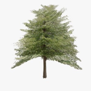 Hazel Tree Lowpoly