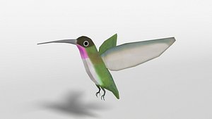 Low Poly Cartoon Hummingbird