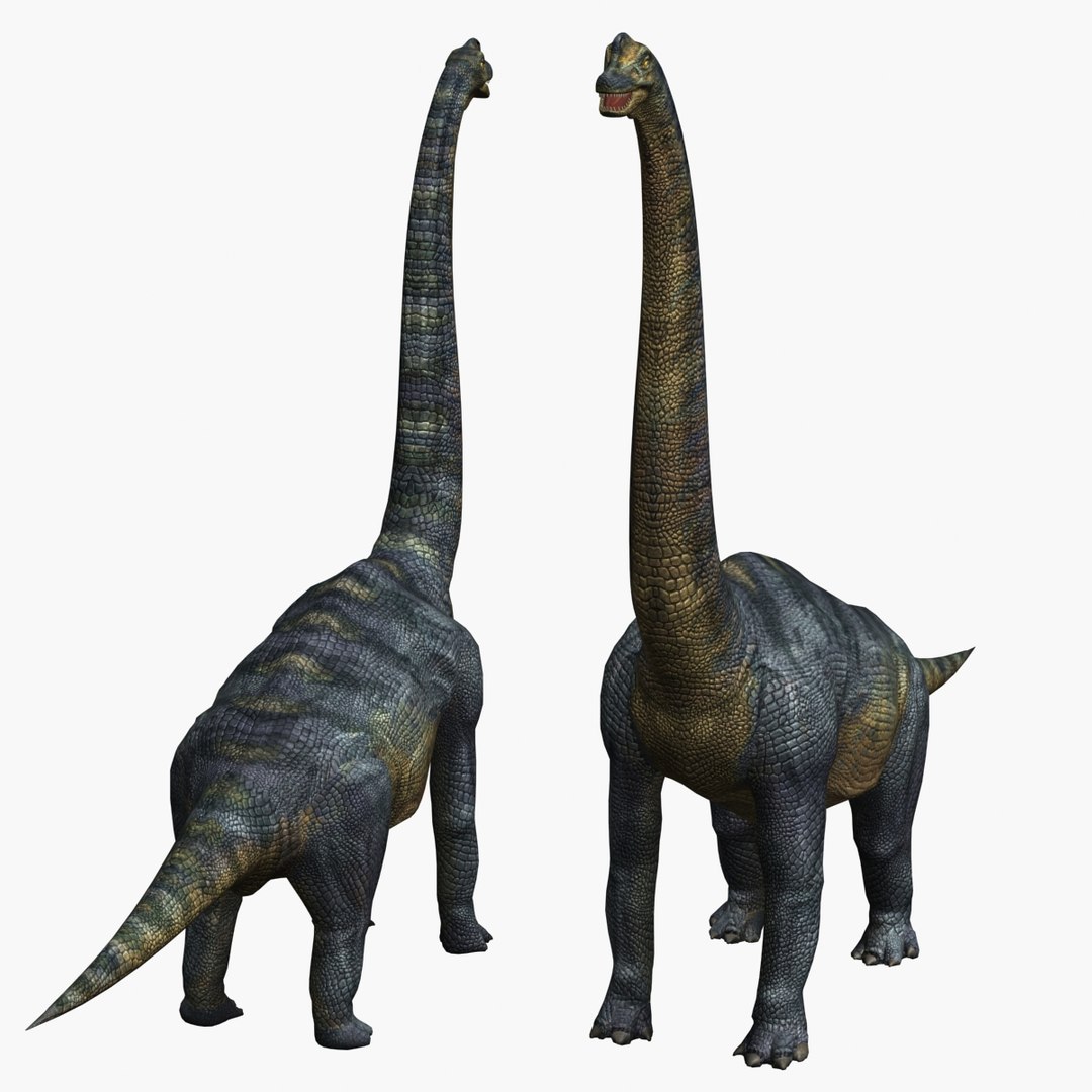 max brachiosaurus dinosaur animation https://p.turbosquid.com/ts-thumb/BM/QtH2Gj/4Akxc3IG/10/jpg/1384169821/1920x1080/fit_q87/a8ef855f2ac30971d1ae234e13a5ee3fe715c96a/10.jpg