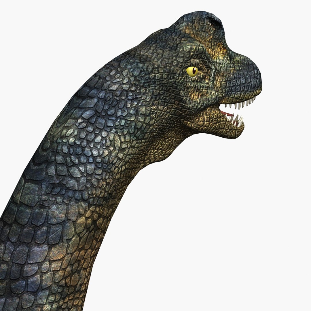max brachiosaurus dinosaur animation https://p.turbosquid.com/ts-thumb/BM/QtH2Gj/BKMomt5d/07/jpg/1384169821/1920x1080/fit_q87/bca071417e2d2379ea3fb29449d035b4d8a053f4/07.jpg