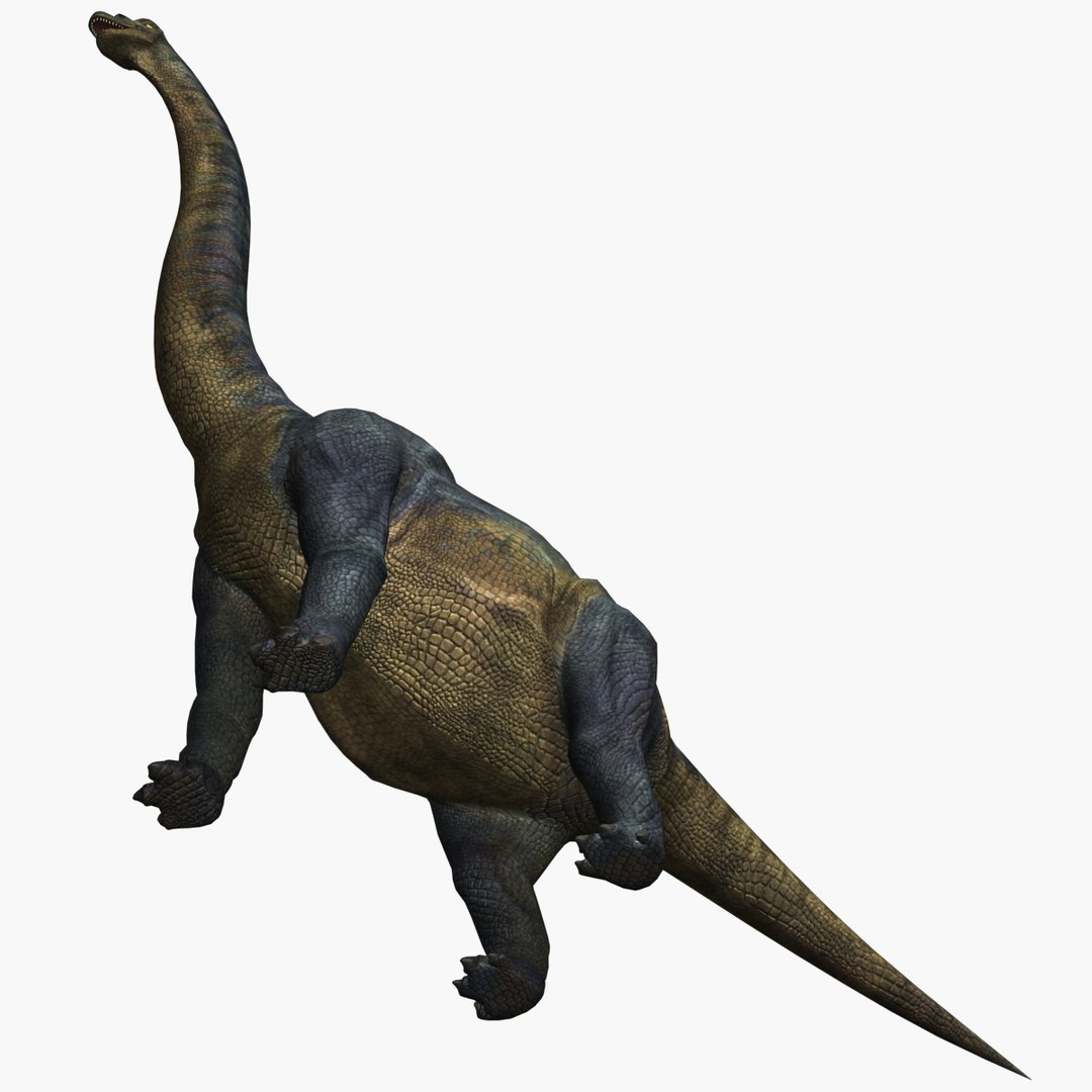max brachiosaurus dinosaur animation https://p.turbosquid.com/ts-thumb/BM/QtH2Gj/eGeCy3qJ/09/jpg/1384169821/1920x1080/fit_q87/40317c2bbcd4bbdfad33f4f219724e78b7d07582/09.jpg