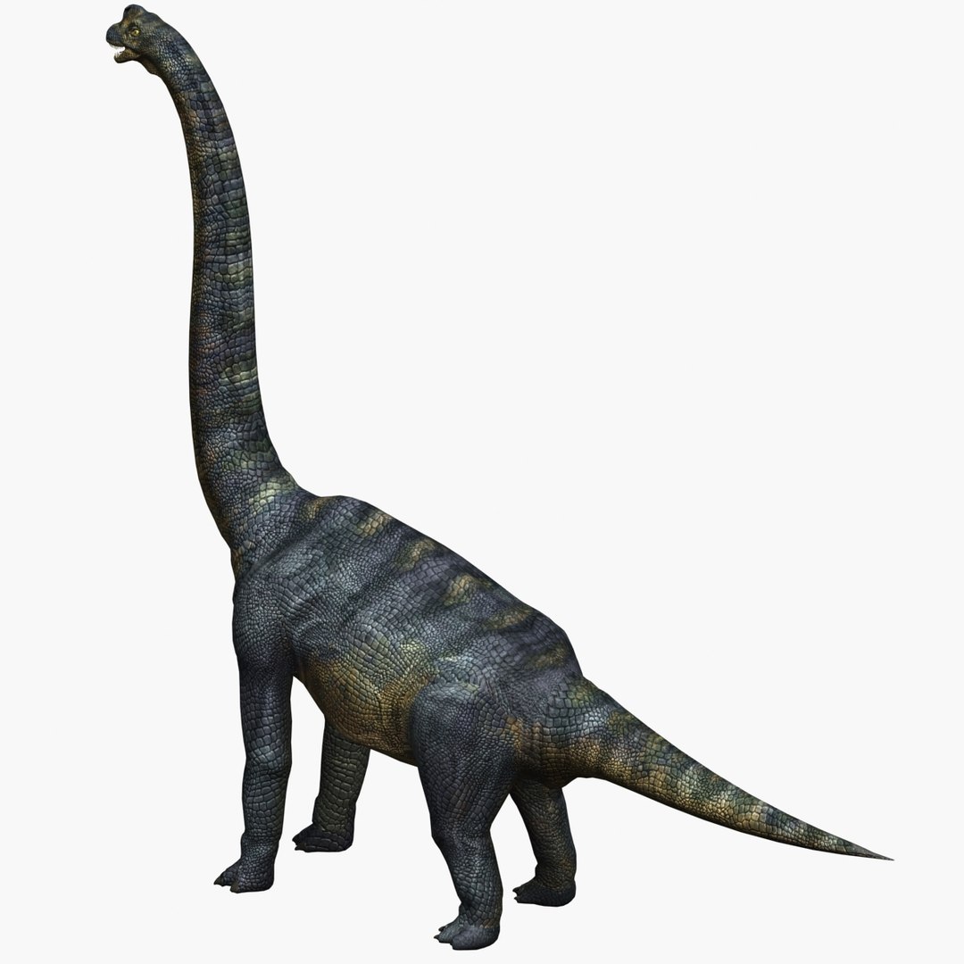 max brachiosaurus dinosaur animation https://p.turbosquid.com/ts-thumb/BM/QtH2Gj/pORi3Bgk/03/jpg/1384169821/1920x1080/fit_q87/31d4e5207cdb5d53d44290ecef15283dc10365cd/03.jpg