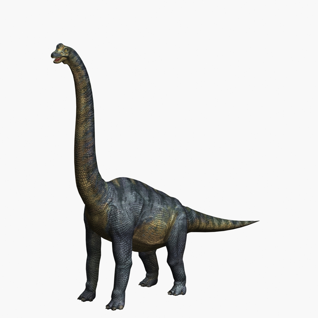 max brachiosaurus dinosaur animation https://p.turbosquid.com/ts-thumb/BM/QtH2Gj/smzk6nGE/brachiosaurus/jpg/1384170063/1920x1080/turn_fit_q99/28049b921fa126a7b5528033d10074921913f15e/brachiosaurus-1.jpg