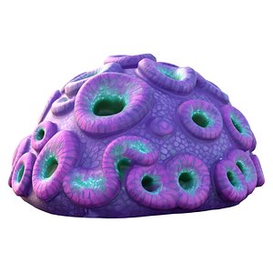 3D Coral reef 11