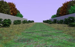 3d country path