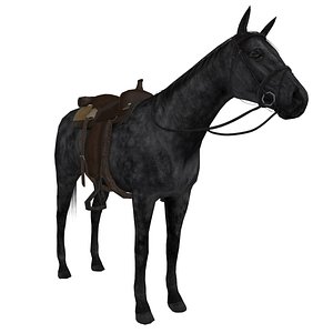 max wild west horse saddle