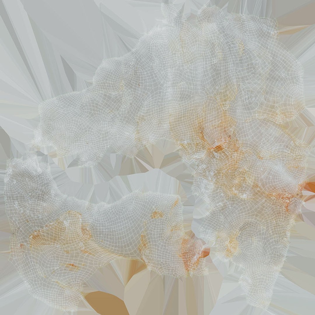 Milky Quartz Raw Scan 3D model https://p.turbosquid.com/ts-thumb/BM/Z1xejP/7R/milkyquartz_x0004/jpg/1741254618/1920x1080/fit_q87/0cea25c4e540c322d6107a853c099520c187bc55/milkyquartz_x0004.jpg