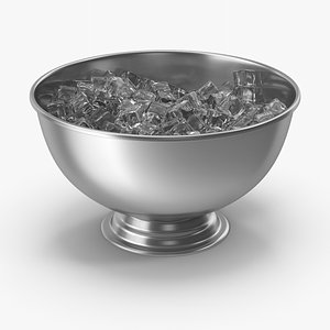 3D Champagne Bowl With Ice