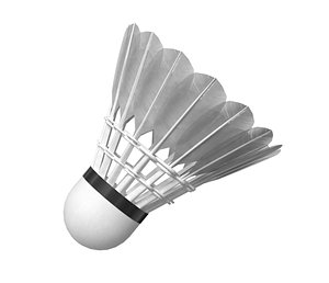 3D Shuttlecock Badminton