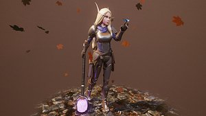 Elf Paladin