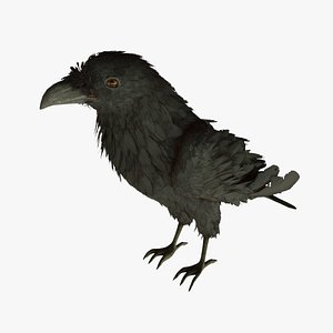 The Raven Character with Animations  For Unreal Engine model
