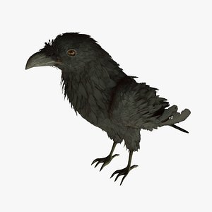The Raven Character with Animations  For Unreal Engine