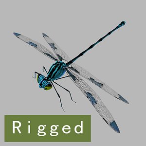 Dragonfly_Rigged