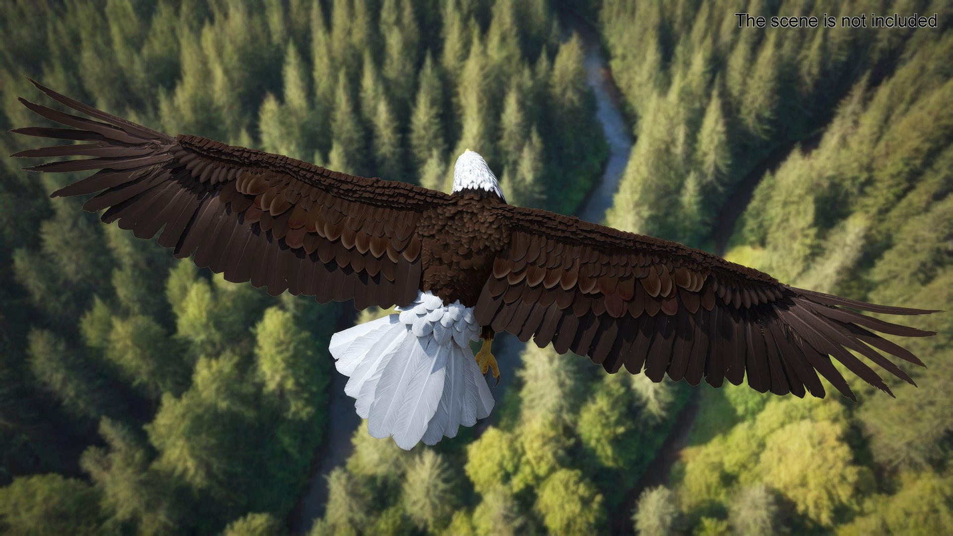 Flying Bald Eagle 3D https://p.turbosquid.com/ts-thumb/BM/zDv2WO/6v/flyingbaldeagle3dsmodel003/jpg/1722286108/1920x1080/fit_q87/a4ce0325ae30b055d8bfa16ee53c98e167cedc98/flyingbaldeagle3dsmodel003.jpg