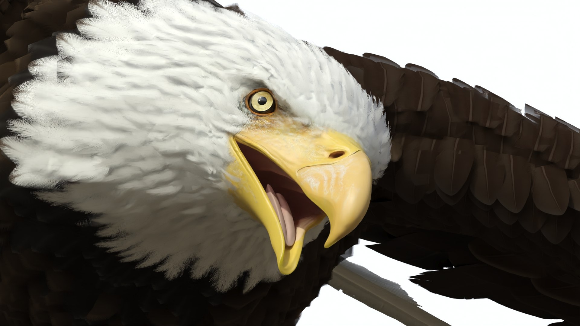 Flying Bald Eagle 3D https://p.turbosquid.com/ts-thumb/BM/zDv2WO/Eo/flyingbaldeagle3dsmodel010/jpg/1722286134/1920x1080/fit_q87/3e81e93ced0a7970862715095037de369bd3c4fc/flyingbaldeagle3dsmodel010.jpg