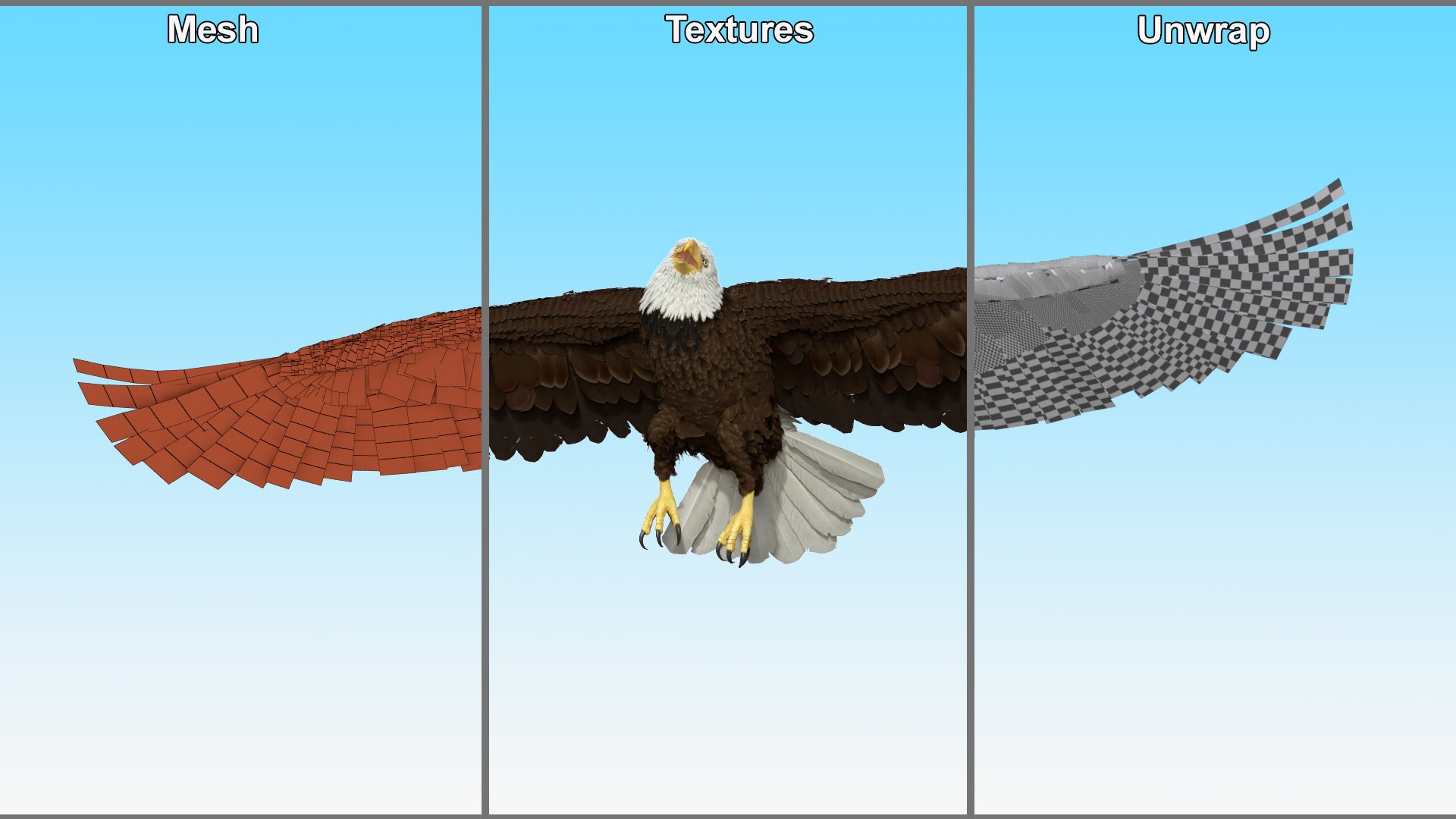 Flying Bald Eagle 3D https://p.turbosquid.com/ts-thumb/BM/zDv2WO/GT/flyingbaldeagle3dsmodel017/jpg/1722286169/1920x1080/fit_q87/a2a0ee70cf027d83d3fc3aab42c80bcaf1619f80/flyingbaldeagle3dsmodel017.jpg