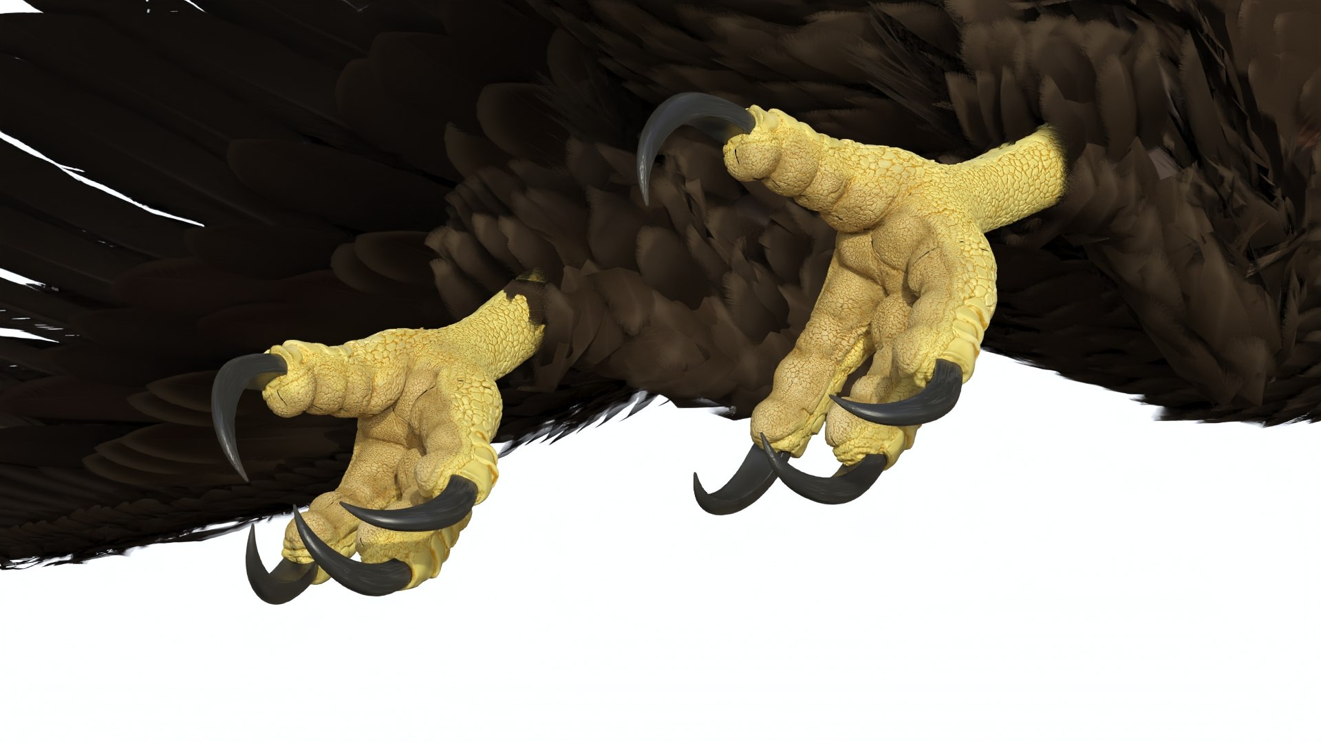 Flying Bald Eagle 3D https://p.turbosquid.com/ts-thumb/BM/zDv2WO/YJ/flyingbaldeagle3dsmodel011/jpg/1722286140/1920x1080/fit_q87/382f4d15e6c0e36e3bc5cff6b0dda5050103b7c8/flyingbaldeagle3dsmodel011.jpg