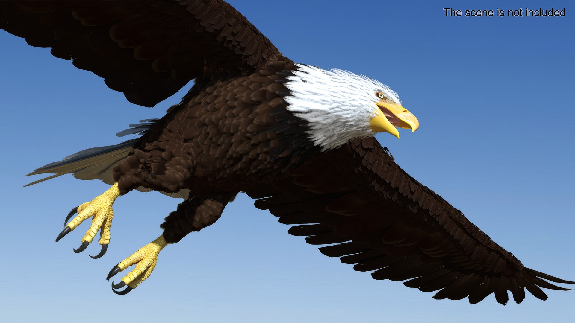 Flying Bald Eagle 3D https://p.turbosquid.com/ts-thumb/BM/zDv2WO/Z4/flyingbaldeagle3dsmodel004/jpg/1722286115/1920x1080/fit_q87/81e3a21d2a5c0639379ca3c312e2d959c484ff89/flyingbaldeagle3dsmodel004.jpg