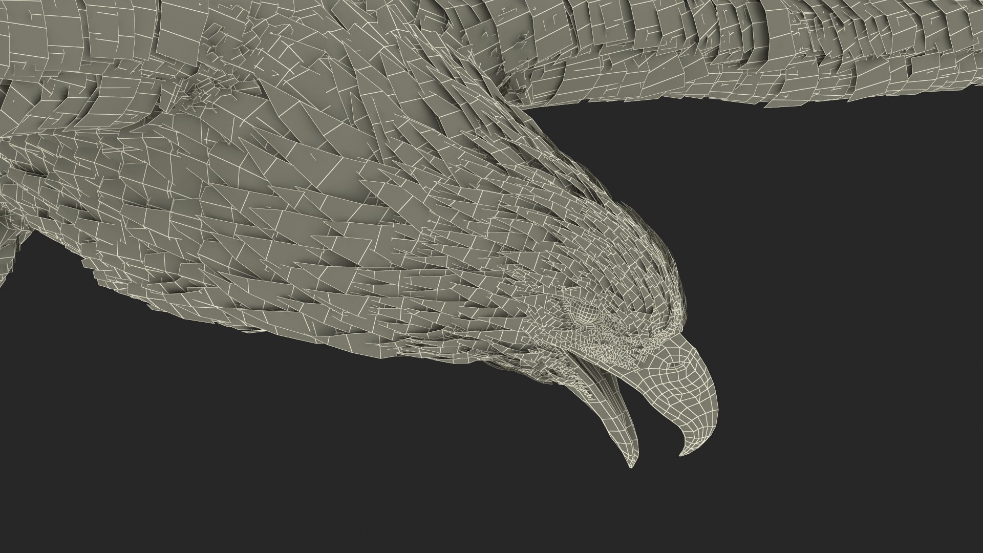 Flying Bald Eagle 3D https://p.turbosquid.com/ts-thumb/BM/zDv2WO/ai/flyingbaldeagle3dsmodel025/jpg/1722286213/1920x1080/fit_q87/90e01c8efde051fed69efc7971005d84046192ea/flyingbaldeagle3dsmodel025.jpg