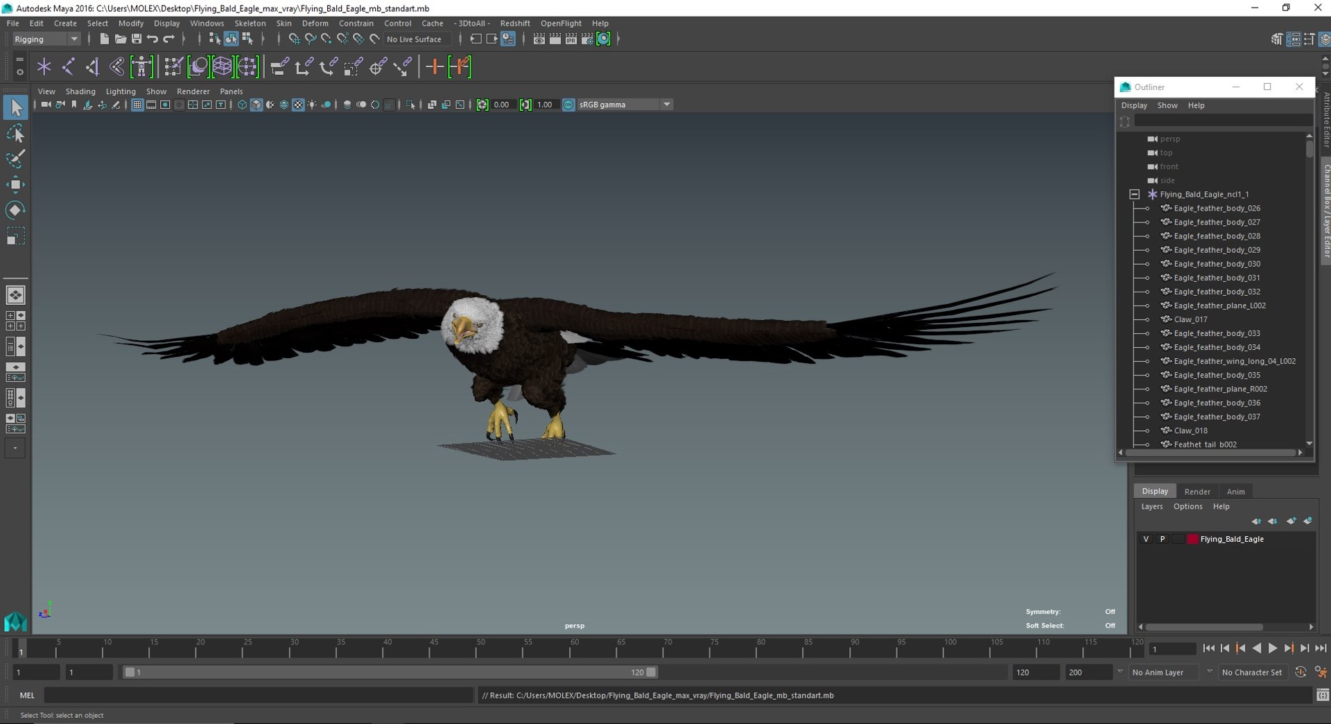 Flying Bald Eagle 3D https://p.turbosquid.com/ts-thumb/BM/zDv2WO/tG/flyingbaldeagle3dsmodel035/jpg/1722286262/1920x1080/fit_q87/76e5c7f84f0ef7043c4c4fa1bcdcd726a7660aad/flyingbaldeagle3dsmodel035.jpg