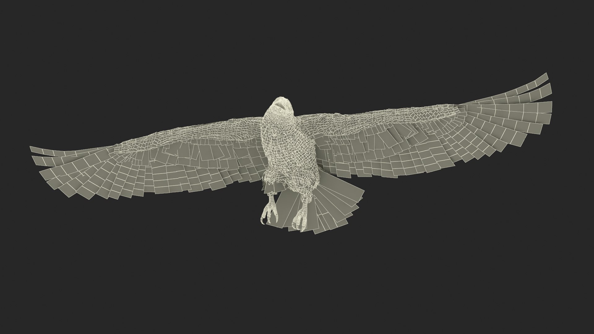 Flying Bald Eagle 3D https://p.turbosquid.com/ts-thumb/BM/zDv2WO/xy/flyingbaldeagle3dsmodel031/jpg/1722286243/1920x1080/fit_q87/fb57c6b6849317a6bc27b5475f35cd3779eecda9/flyingbaldeagle3dsmodel031.jpg