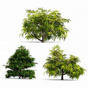 North American Fruit Trees Shrubs