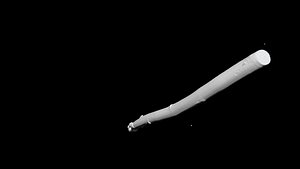 3D Asparagus 3D CT scan model decimate 5 percent