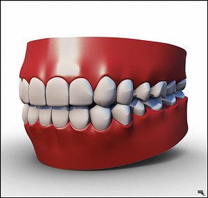 cartoon teeth 3d model