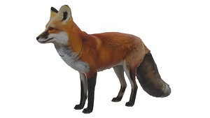 Red Fox 3D