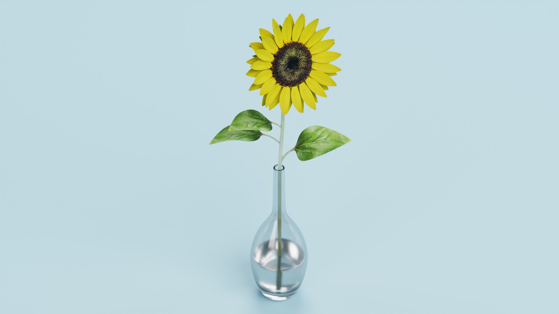 3D Sunflower in Vase https://p.turbosquid.com/ts-thumb/BN/Jtbm8d/85/sunflowerg/png/1661518841/1920x1080/fit_q87/d7561d167750155b780f9f080f0ab1737abe960a/sunflowerg.jpg