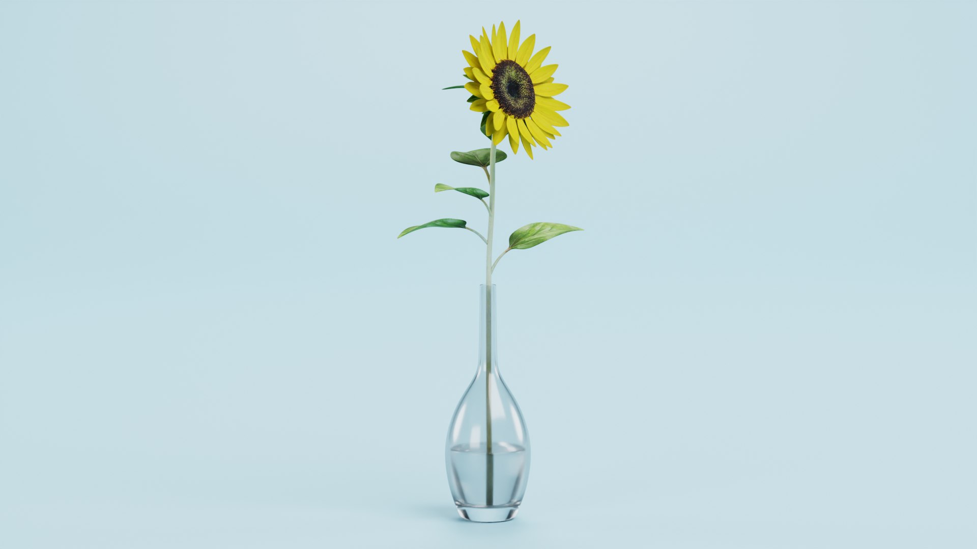 3D Sunflower in Vase https://p.turbosquid.com/ts-thumb/BN/Jtbm8d/El/sunflowerc/png/1661518839/1920x1080/fit_q87/73d2fe58ecf0251e7128e8856cd6720bc57b4cfc/sunflowerc.jpg