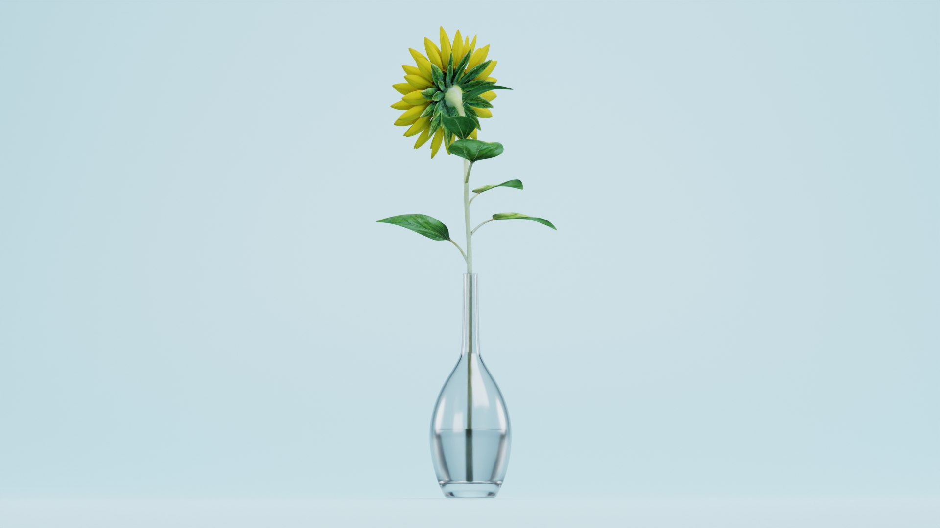 3D Sunflower in Vase https://p.turbosquid.com/ts-thumb/BN/Jtbm8d/Ng/sunflowere/png/1661518843/1920x1080/fit_q87/dfe591e4ce0ba4406171d0e065d1e51eb5946182/sunflowere.jpg
