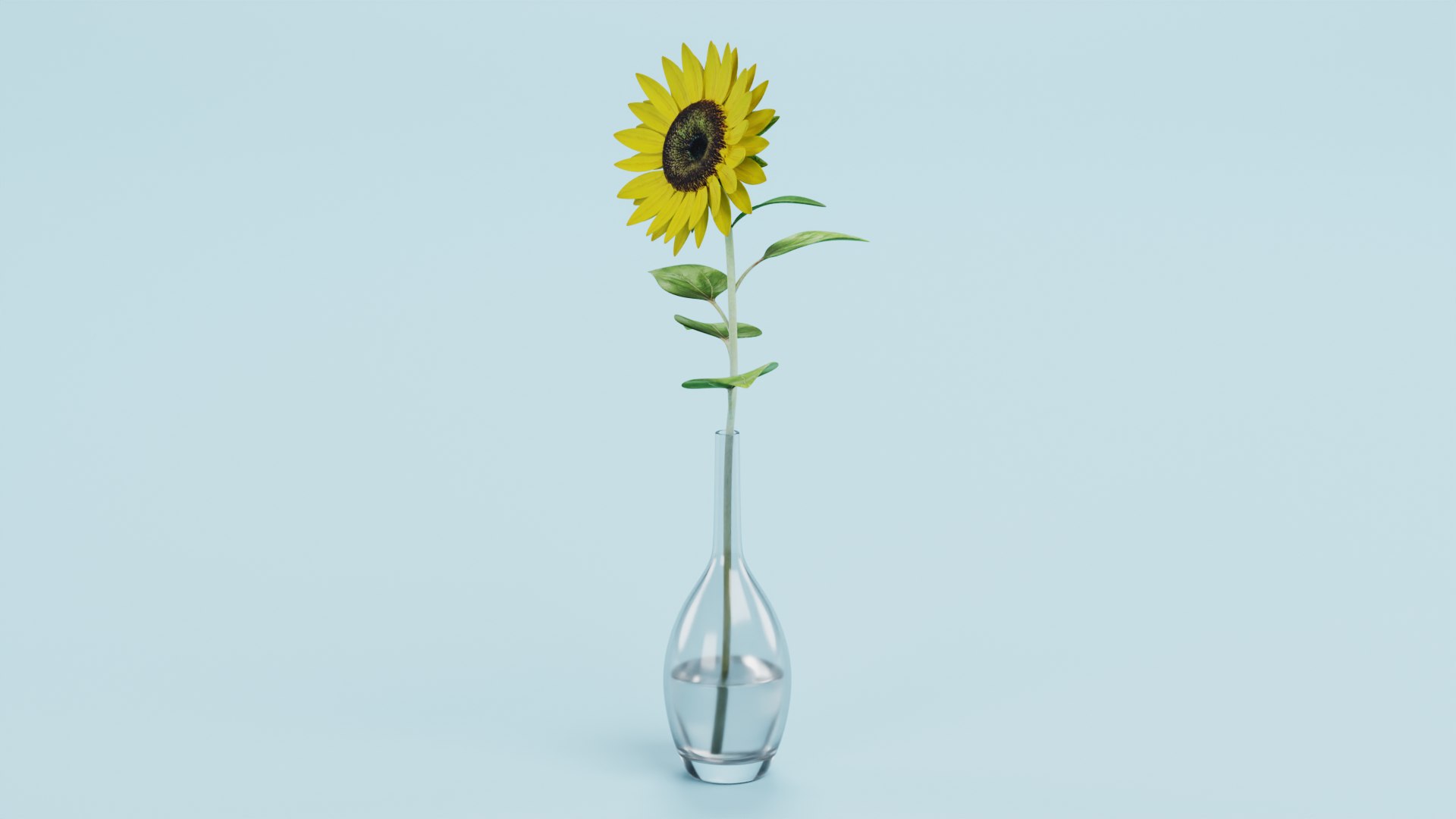 3D Sunflower in Vase https://p.turbosquid.com/ts-thumb/BN/Jtbm8d/TC/sunflowerf/png/1661518841/1920x1080/fit_q87/fa1fc598c903ad52b2030811fadc36e162f0735b/sunflowerf.jpg