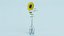 Girasol en Florero
