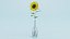 Girasol en Florero
